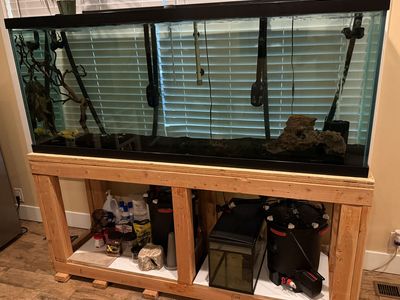 150 Gallon Fish Thank