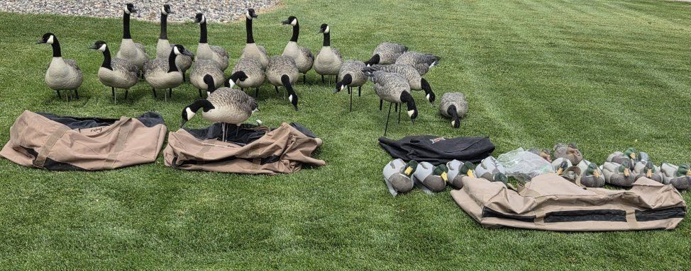 Goose decoys & xl layout blind
