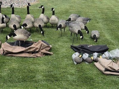 Goose decoys & xl layout blind