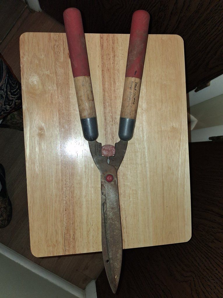 Main image 4