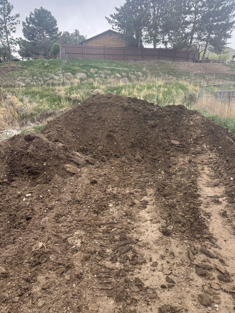 Free Aged Horse Manure