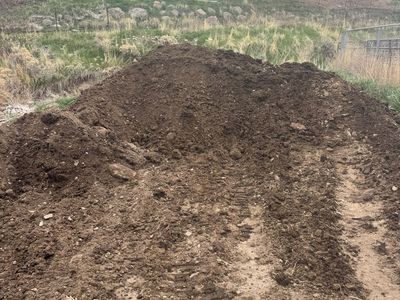 Free Aged Horse Manure