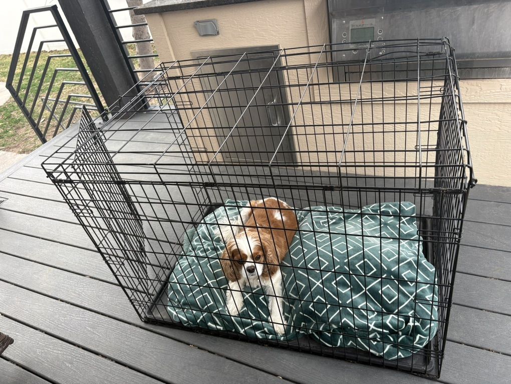 42 Dog Crate