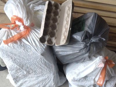 Egg cartons - 100+