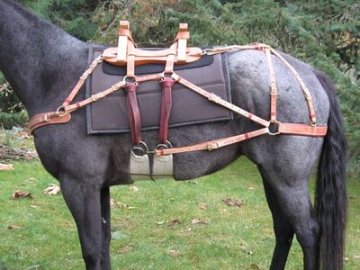 Custom Wool Pack Saddle Pad