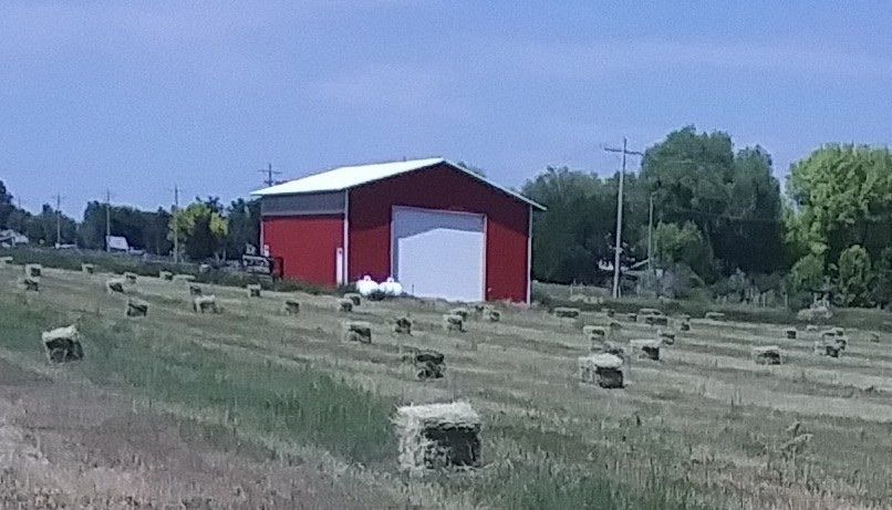 Alfalfa Grass Mix Small Hay Bales