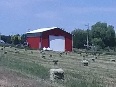 Alfalfa Grass Mix Small Hay Bales