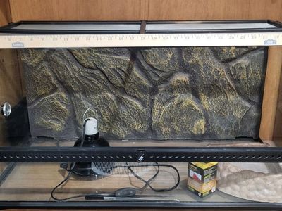 Exo Terra 50 gallon Reptile Terrarium