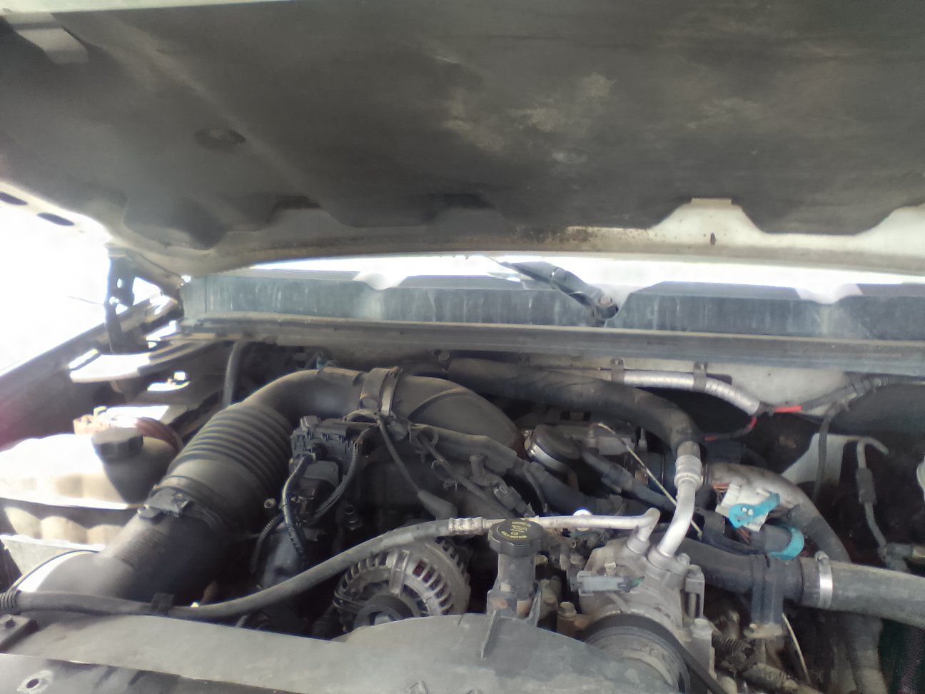 LBV MOTOR N TRANNY