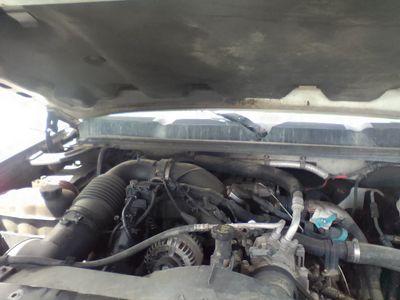 LBV MOTOR N TRANNY