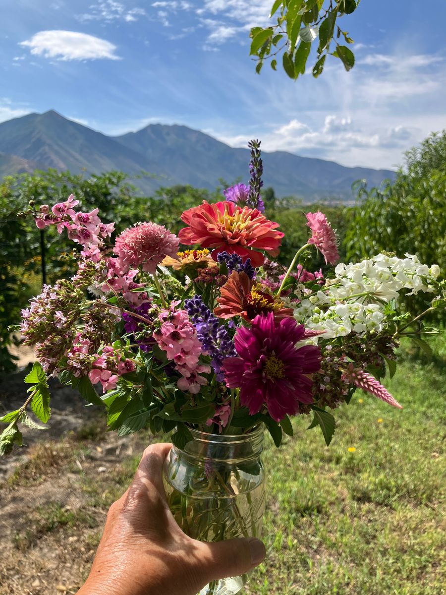 Pick a Bouquet!  Organically Grown Blossoms