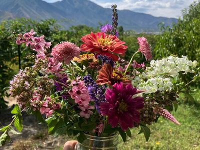 Pick a Bouquet! Organically Grown Blossoms