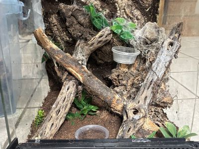 Tarantula or small invert enclosures cages tanks
