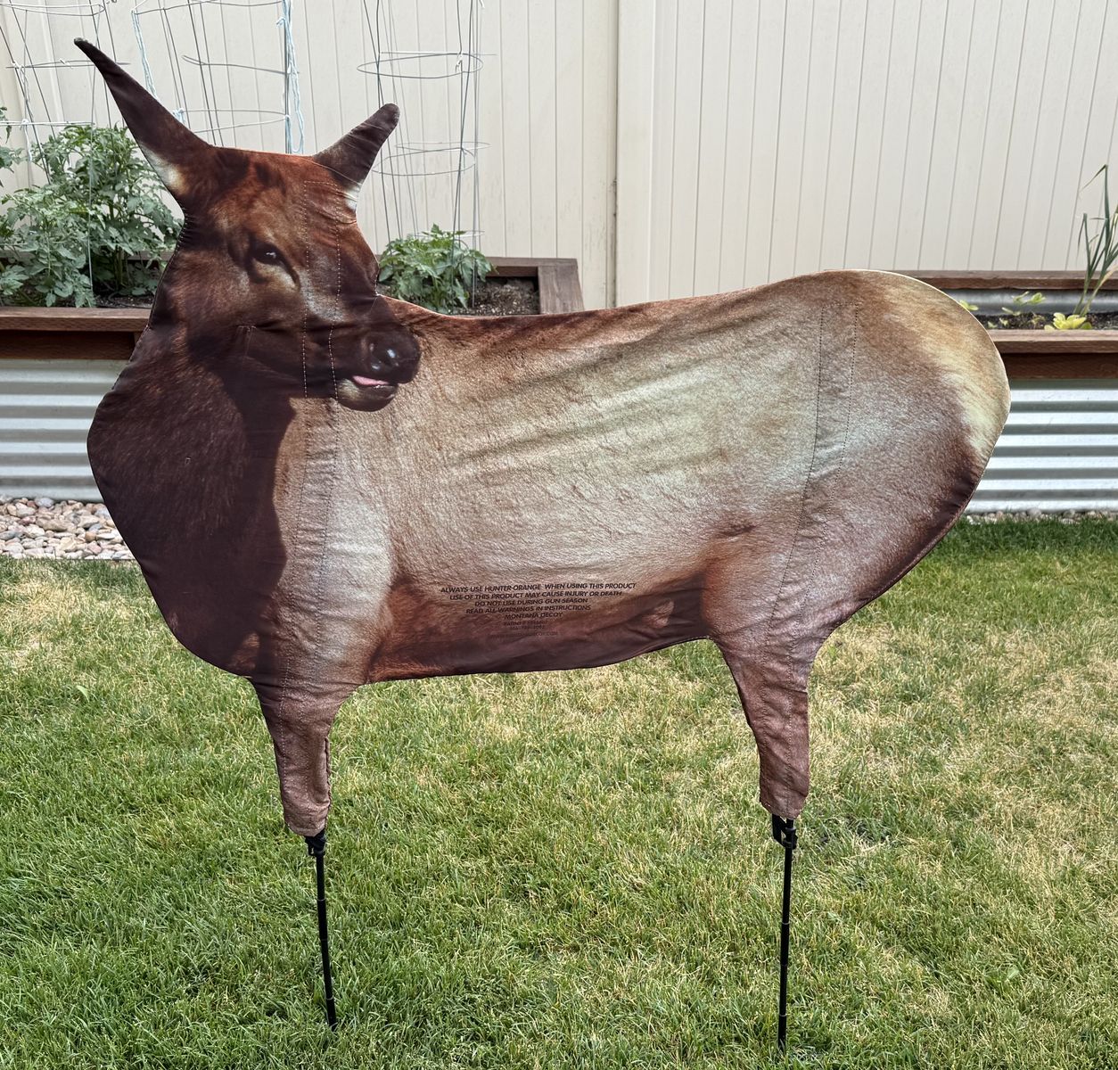 Montana Decoy Cow Elk