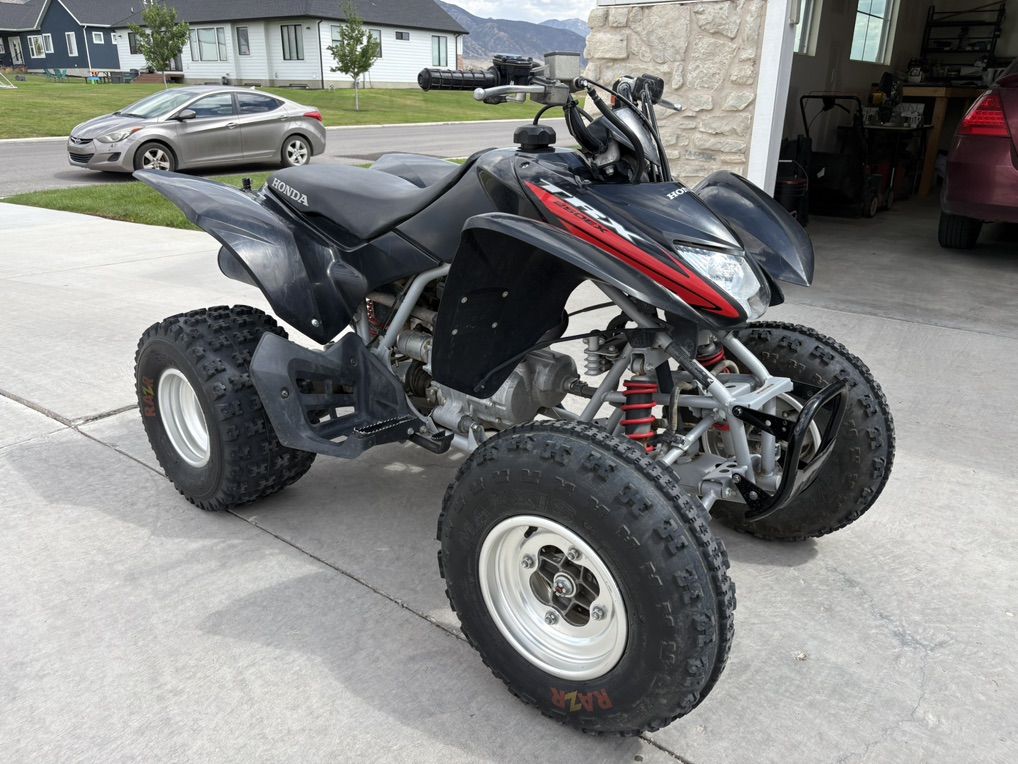 2007 Honda TRX250 EX w/ paddles