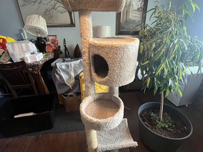 Wooden cat tower