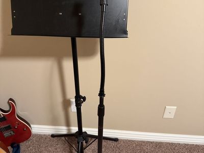 Music and microphone stand