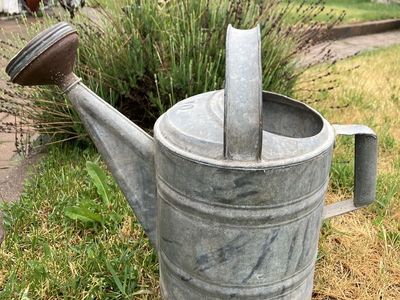 Vintage #10 Watering Can.