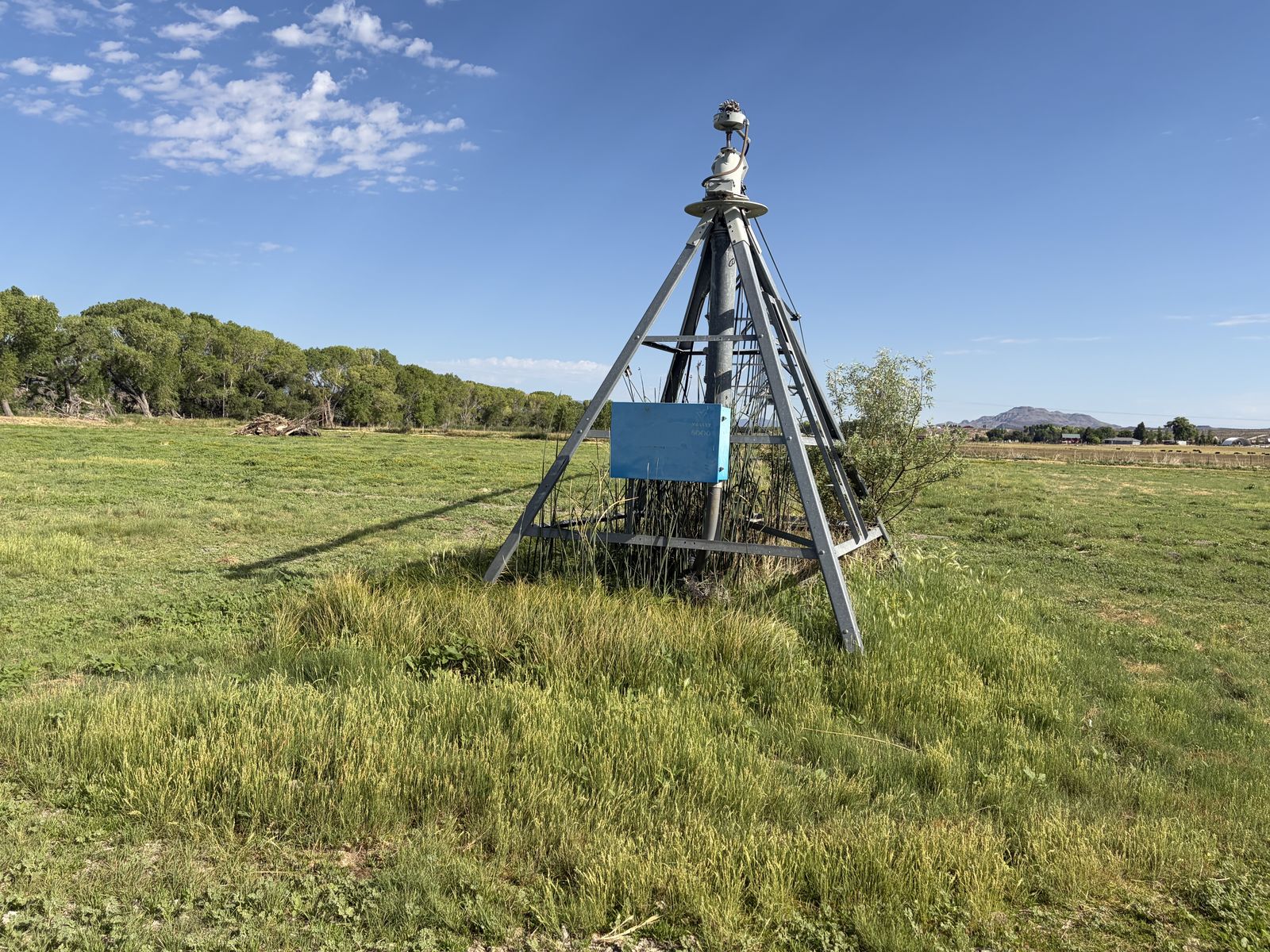Main image 6