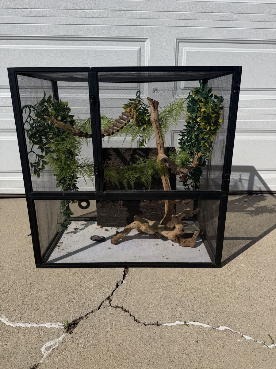 Lizard cage with lots of accessories 