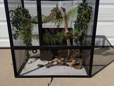 Lizard cage with lots of accessories