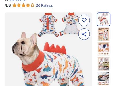 Brand New Dino Dog Pajamas X-Large