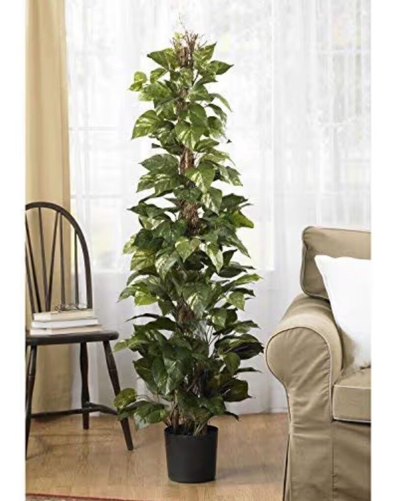 New 63in. Pothos Climbing Silk Plant