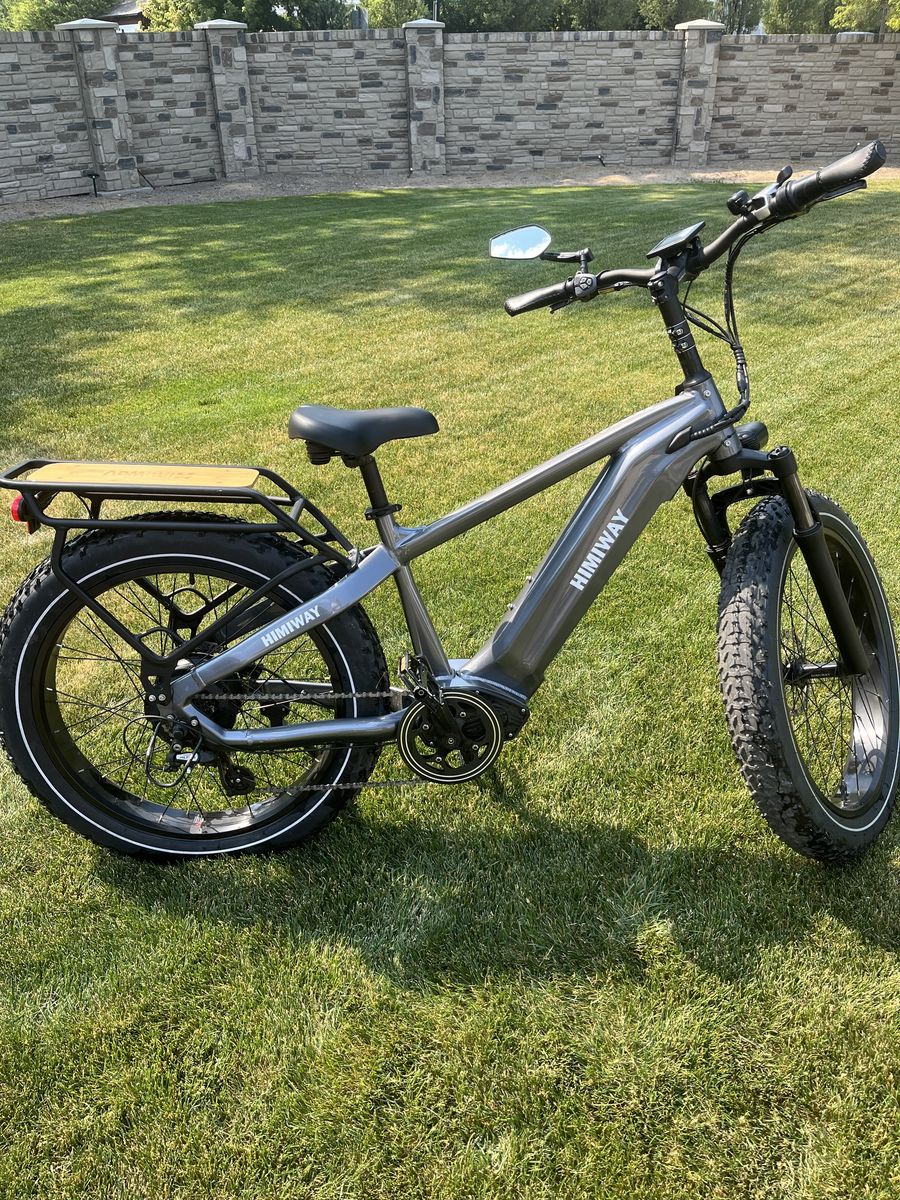 Himiway Zebra All-Terrain Electric Fat Tire Mountain Bike
