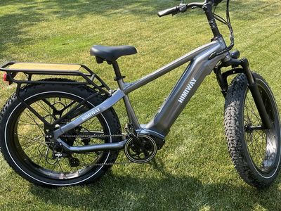 Himiway Zebra All-Terrain Electric Fat Tire Mountain Bike