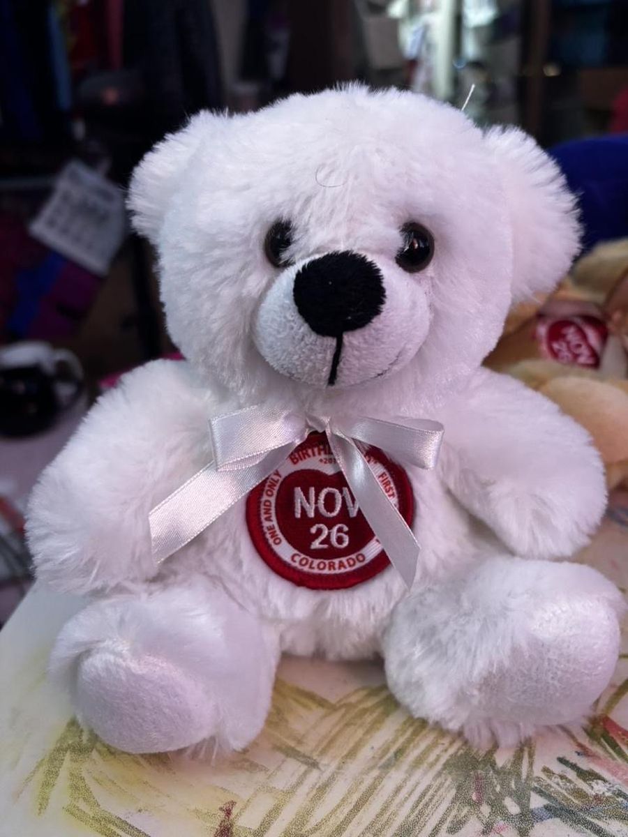 Birthdazed 2017 First Edition White Teddy Bear Plush Toy November 26 Colorado