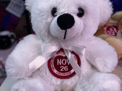 Birthdazed 2017 First Edition White Teddy Bear Plush Toy November 26 Colorado