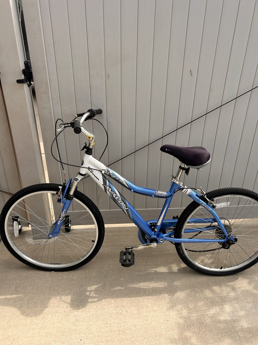 Women’s/girls bike