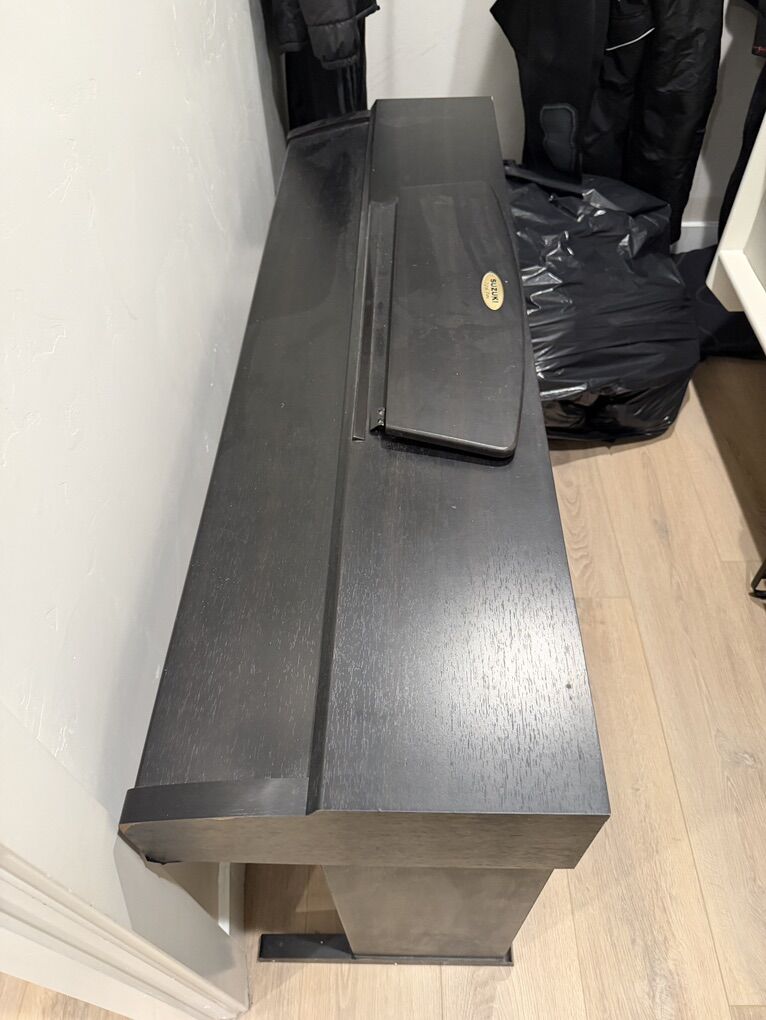 Suzuki DIgital Piano