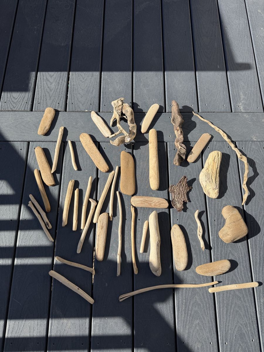Large Driftwood Craft Lot – Natural Wood Pieces for Decorb & Projects