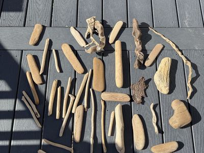 Large Driftwood Craft Lot – Natural Wood Pieces for Decorb & Projects