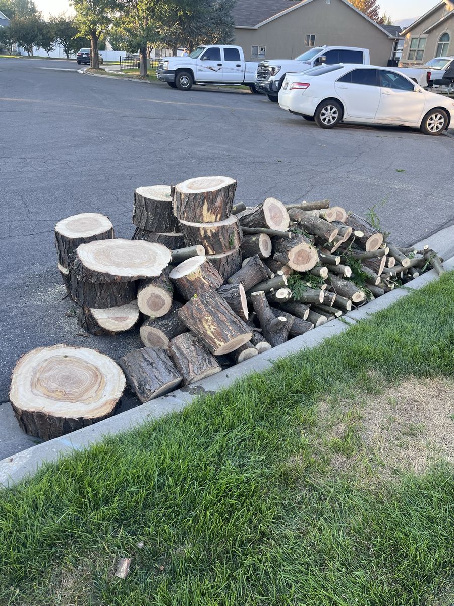 Fire wood