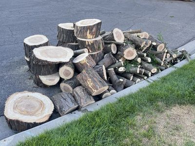 Fire wood