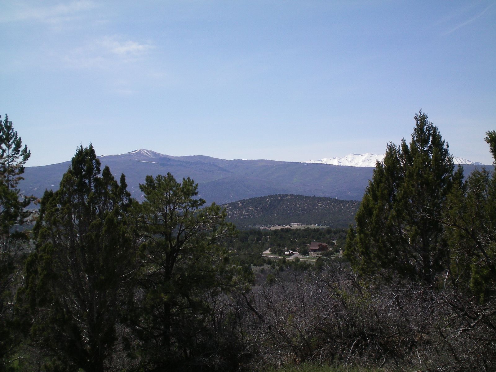 Main image 5
