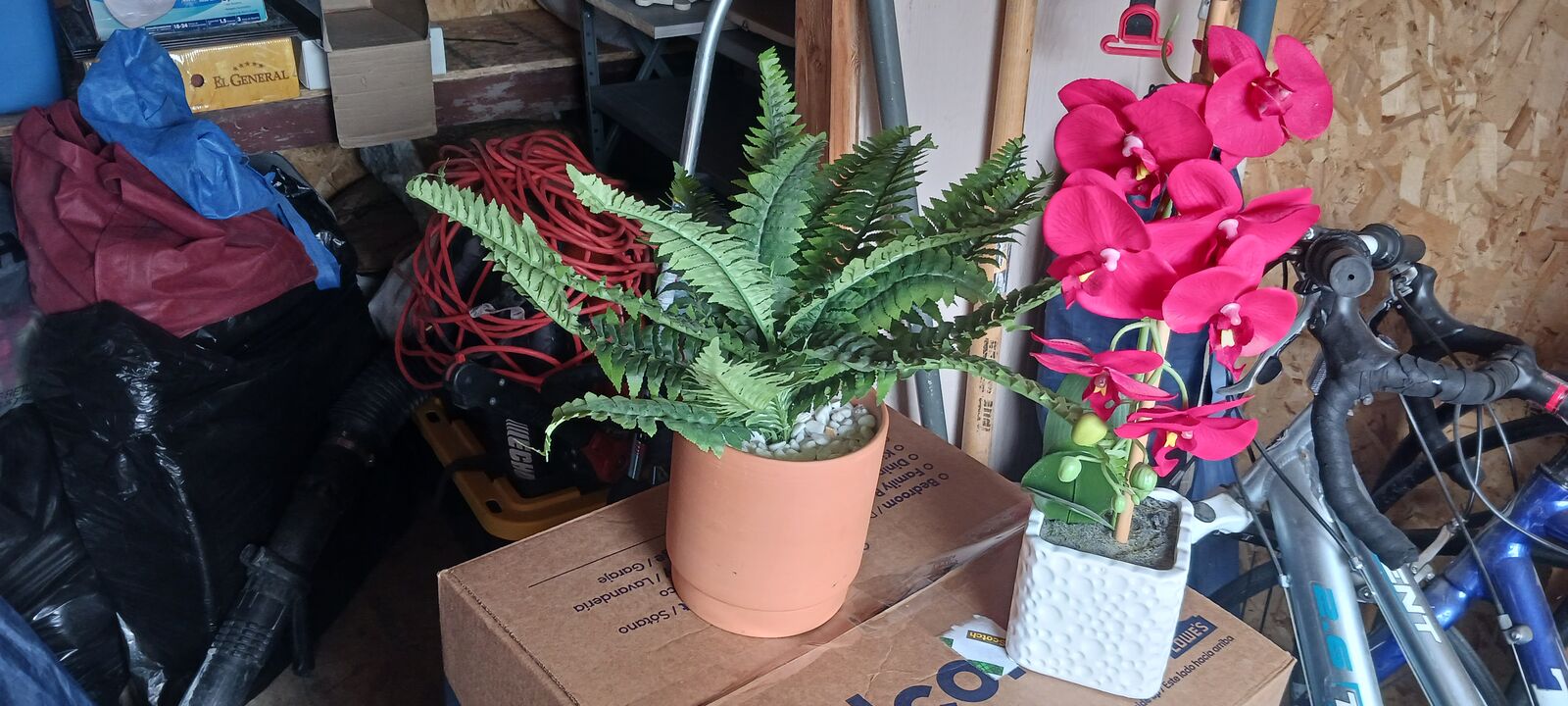 Two plastic plants for 25