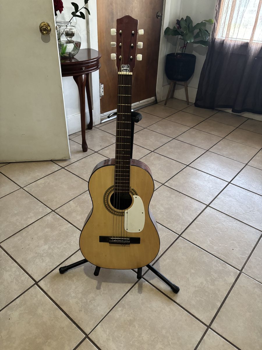 Guitar Model S 10 Steel Neck