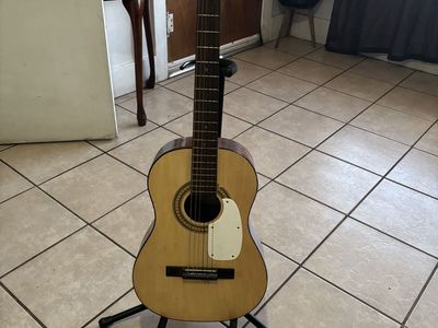 Guitar Model S 10 Steel Neck
