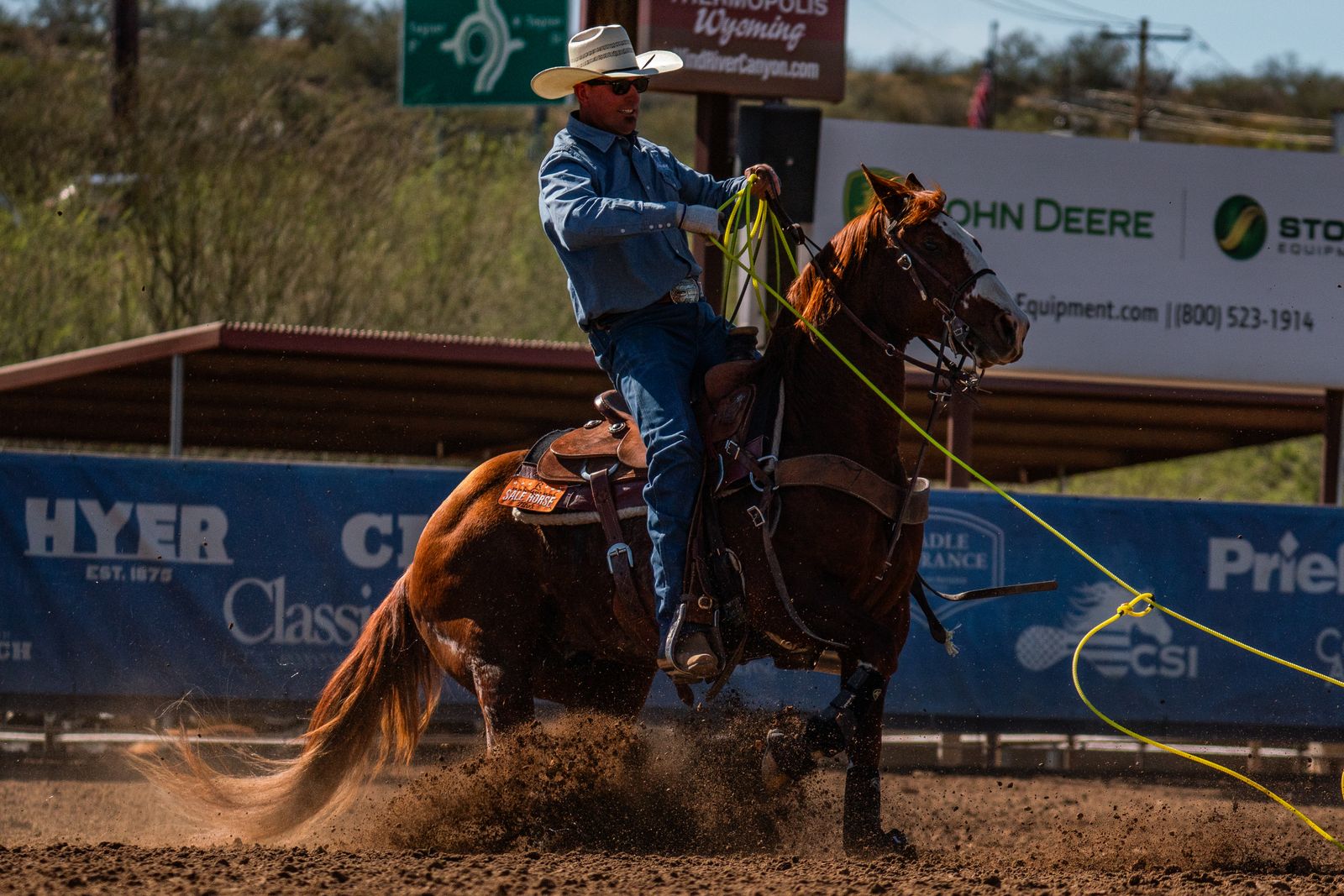 Finished Heel Horse - Full set of Xrays!
