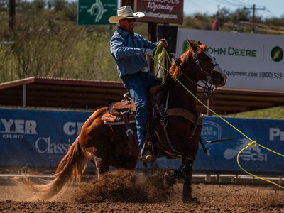Finished Heel Horse - Full set of Xrays!