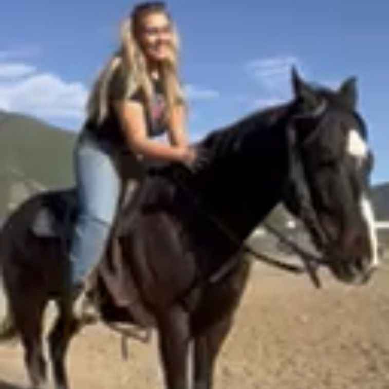 Horse care, feeding, and exercise services
