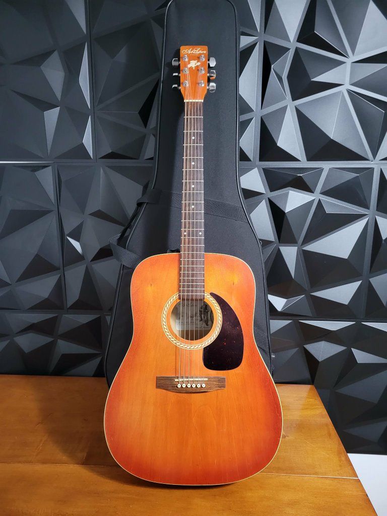 Art Et Lutherie by Godin Acoustic Guitar Made In Quebec Canada