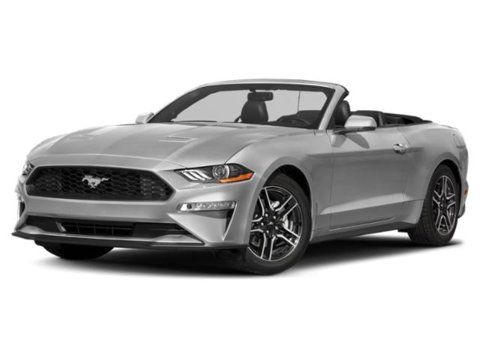 2019 FORD MUSTANG