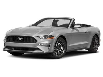2019 FORD MUSTANG
