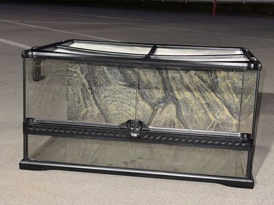 Reptile Enclosure