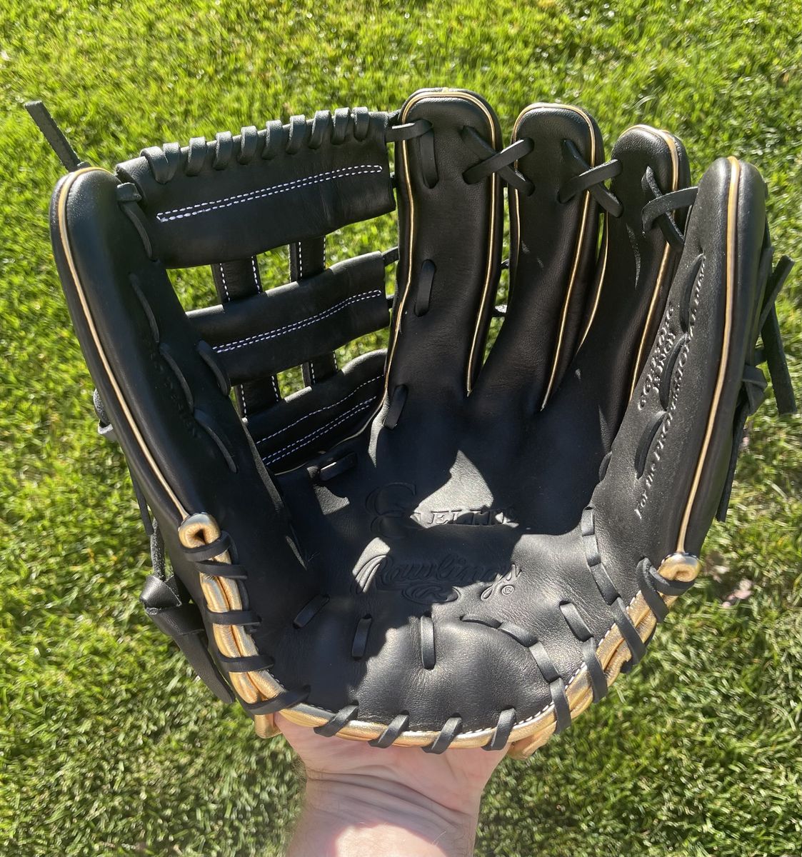 Rawlings Gold Glove Elite 13 in. Baseball/Softball Glove