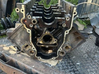LS 6.0 LQ4 Yard Art